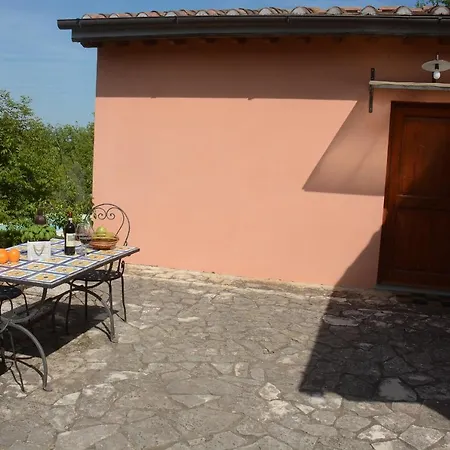 Poggio Degli Ulivi - Flo * San Casciano in Val di Pesa