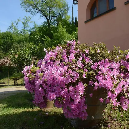Poggio Degli Ulivi - Flo San Casciano in Val di Pesa