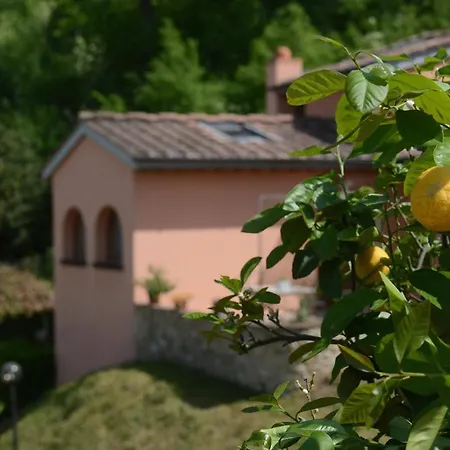 Country house Poggio Degli Ulivi - Flo *