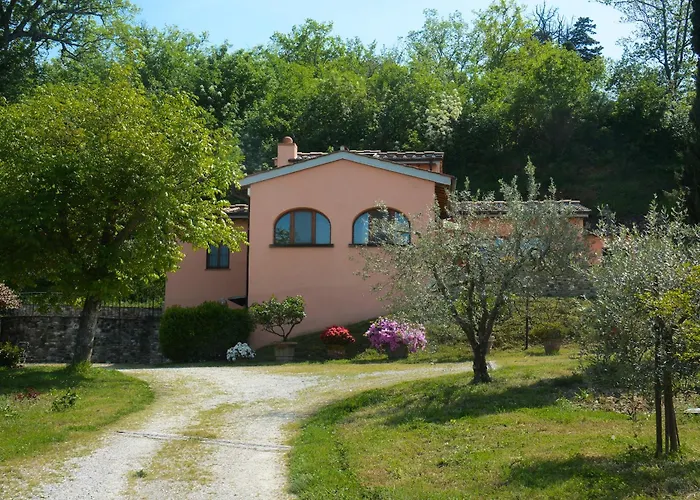 Poggio Degli Ulivi - Flo *